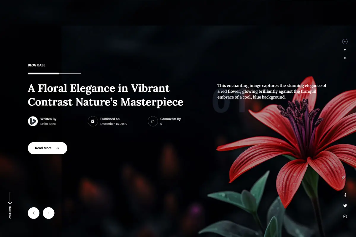 Blog Base- Blog Spotlight