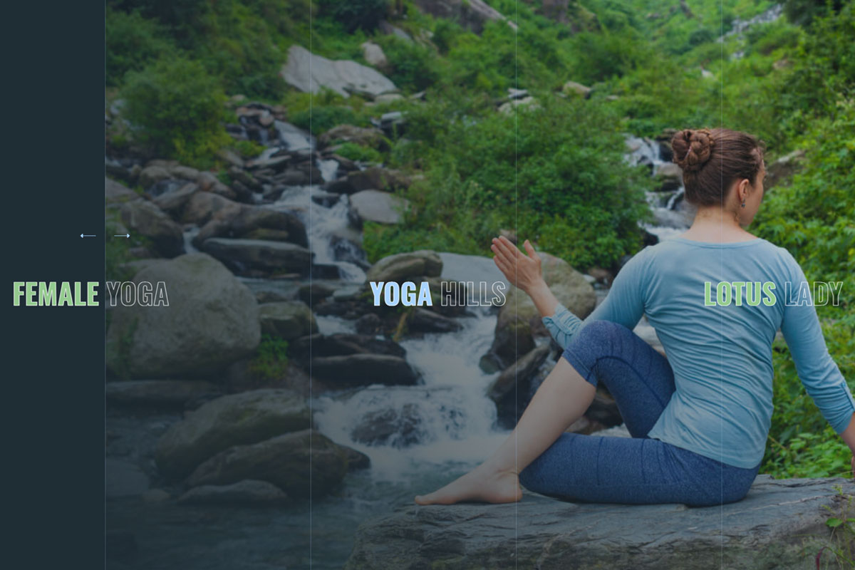 Sniper - Wellness Focus